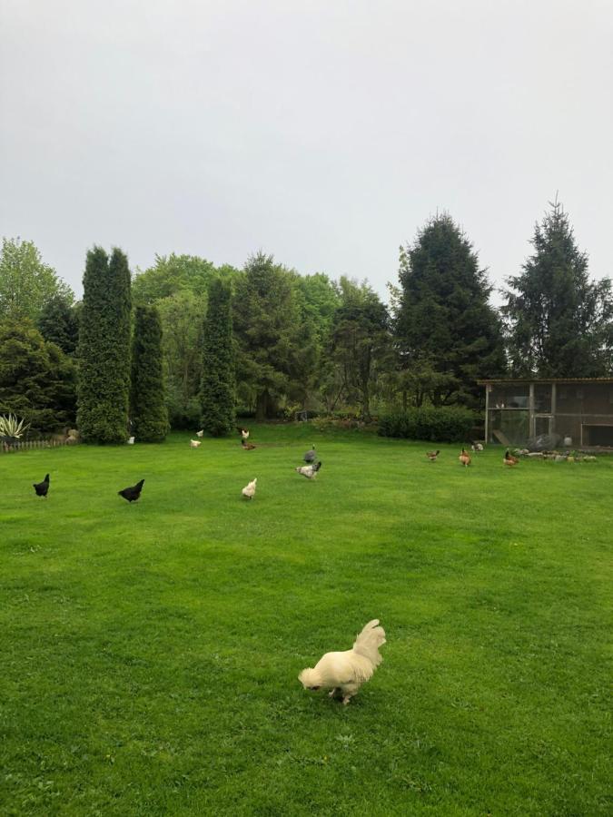 Agroturystyka Nad Stawami Szemud المظهر الخارجي الصورة